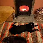 Hideaway@no3 Apartment Thornton Dale
