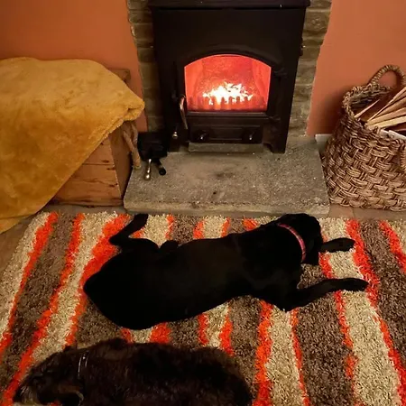 Hideaway@no3 شقة ثورنتون دالي